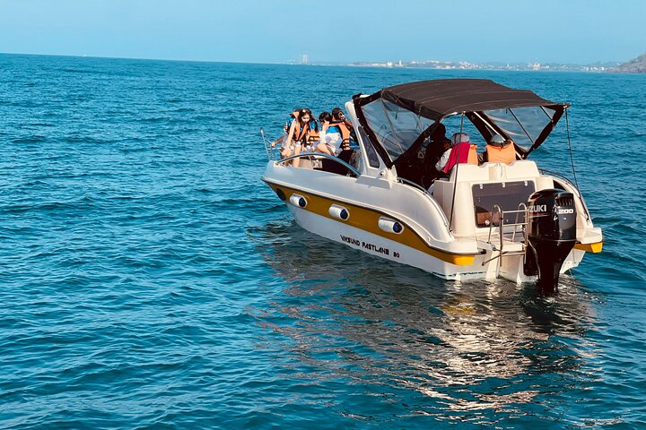 Whale Watching From Colombo - Photo 1 of 11